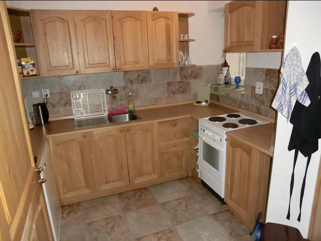 Guest house Pension Panorama Karlovy Vary